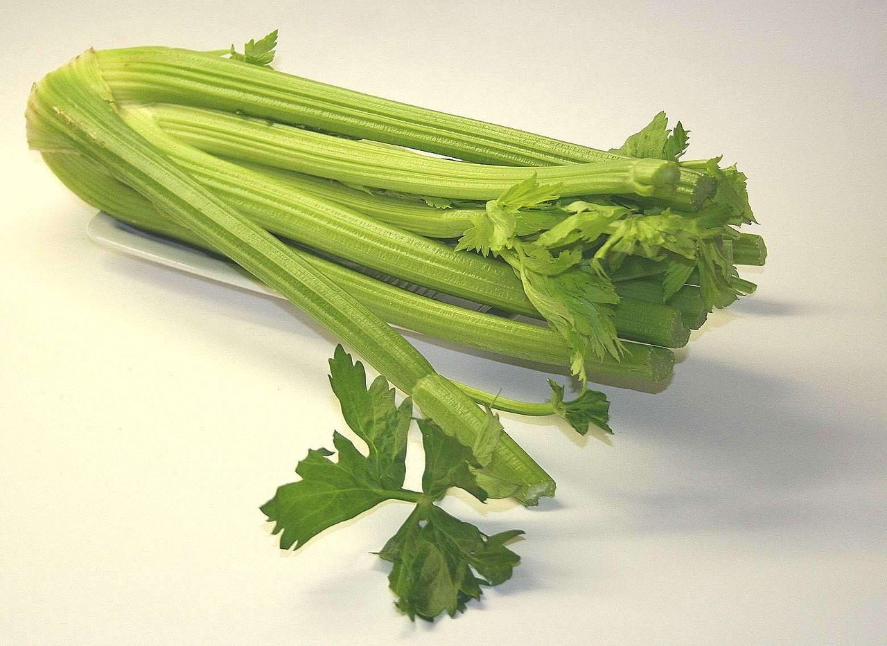 10 Health Benefits Of Celery Juice
